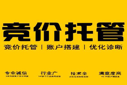 SEM账户竞价策略实战案例分析